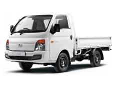 Hyundai H-100 picture (2004 year model)