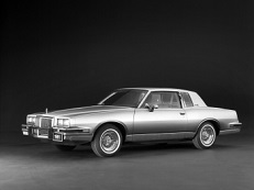 Pontiac Grand Prix picture (1978 year model)